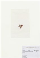 藏品(海木耳)的圖片